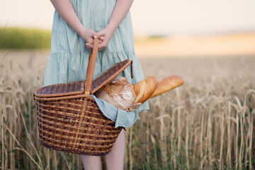 Child holds basket with bread and two fresh baguettes in front of rye field wheat field on sunset...