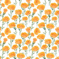 Fototapeta na wymiar Seamless pattern with tagetes flowers on white background. Repeating endless texture with watercolor orange flowers. Generative AI.