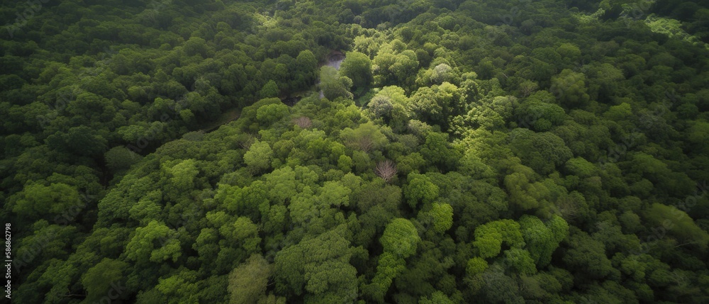 Poster Beautiful bird's-eye view of the rainforest.Aerial view. Panoramic shot. Generative AI