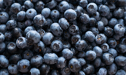 blueberry. Fresh Bilberries. Close-up background.