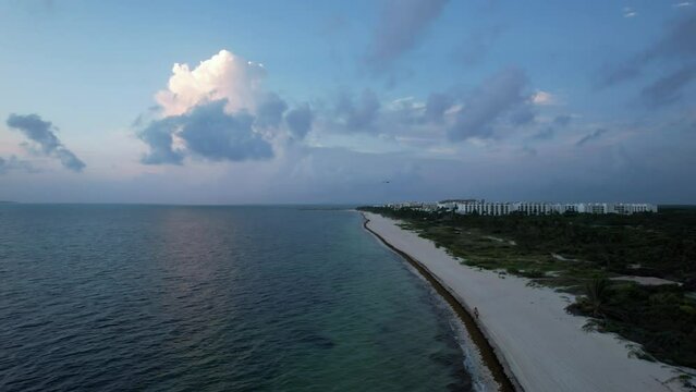 Seagull flying in the Sunrise over the waters of the Gulf of Mexico. Located in Cancun, Mexico. Aerial 4K drone video
