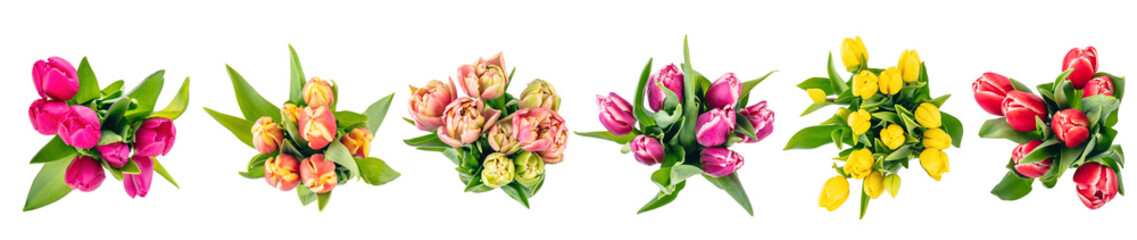 Tulip flowers bouquets collection view from above, set isolated on transparent white