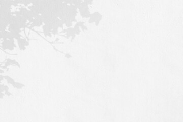 Abstract textured concrete background with tree shadow