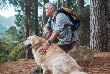 Senior man, hiking and dog outdoor in nature for exercise, fitness and trekking for health and...