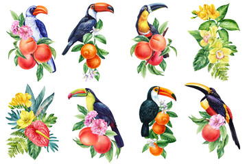 Obraz premium Bird sits on branch with ripe fruits. set flower and palm leaves, isolated on white background. Watercolor painting