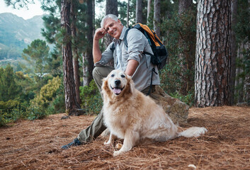 Man, hiking and happy dog outdoor in nature for exercise, fitness and trekking for health and...