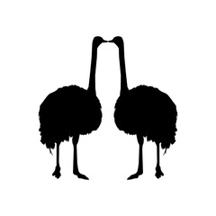Pair of the Ostrich Silhouette for Logo, Pictogram, Art Illustration or Graphic Design Element. Vector Illustration