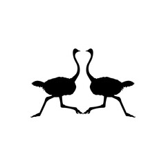 Pair of the Ostrich Silhouette for Logo, Pictogram, Art Illustration or Graphic Design Element. Vector Illustration