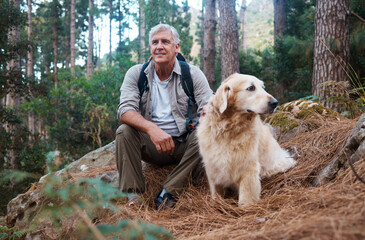 Adventure, explore and man hiking with her dog, pet or animal in the winter forest for exercise,...