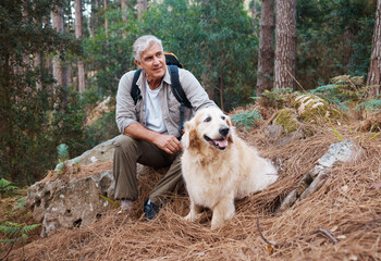 Adventure, hiking and old man with his dog, pet or animal in the winter forest for exercise,...
