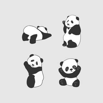vector illustration of a set of panda animals