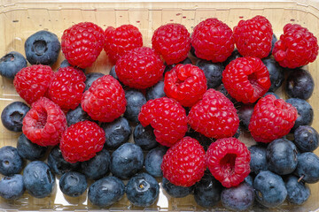 Blaubeeren und Himbeeren in Schale