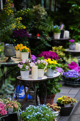 Flower shop on the side of the street. Close up view with some beautiful spring flowers on a floral shop in the middle of a city.