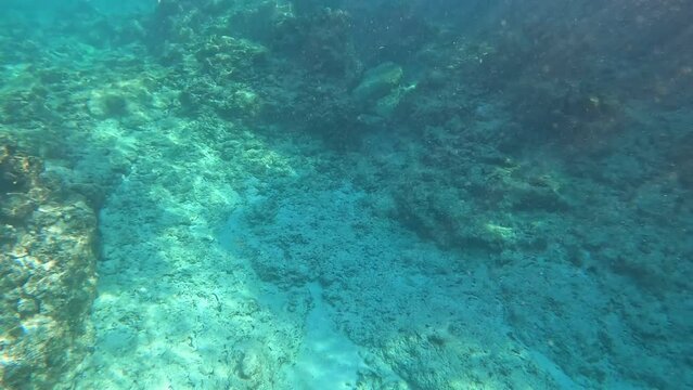 Entering the water to snorkel at Turtle Reef in Cayman Islands