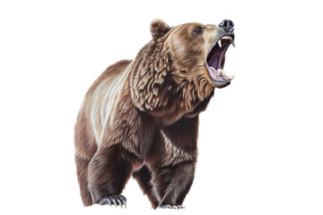 an isolated large grizzly bear roaring, front-view, fierce bear, North American, mountain-themed photorealistic illustration on a transparent background in PNG. Ursus arctos horribilis. Generative AI - obrazy, fototapety, plakaty