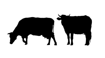 Cow silhouette - vector illustration
