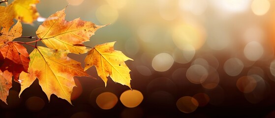 fall leaves background , digital ai art