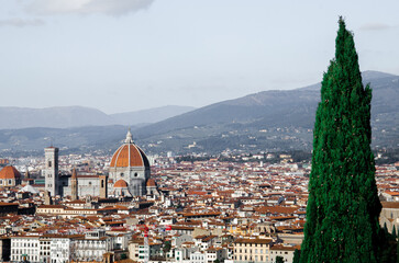 Fototapeta premium The most beautiful panorama of Florence with tall green tree, stock photo