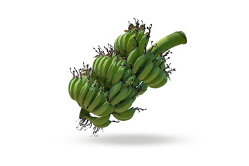 Fresh green raw bananas on white background and shadow material