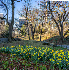 Central Park in spring
