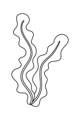 seaweed flat vector cartoon illustration on white background. Superfood - healthy spirulina, algae