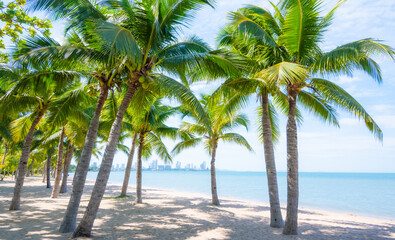 Fototapeta premium Summer at the beach with coconut trees and the beautiful blue sea