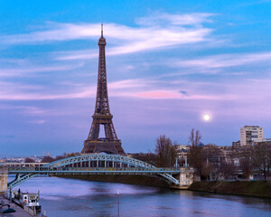 Fototapeta premium Paris en rose