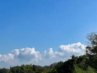 Obraz premium 車内から見た田舎の風景
