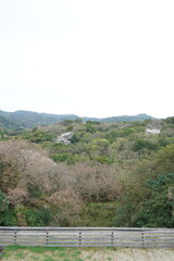 Fototapeta na wymiar 桜が見える山の景色