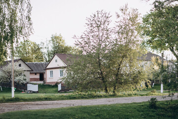 Fototapeta na wymiar Flowering street in the village in spring