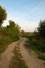 Rural country road with ruts and puddles, curbs overgrown with gruss, bushes and trees