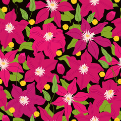 Red Clematis flowers seamless pattern on black background for fabrics, textiles, wallpaper, paper. Vector botanical illustration