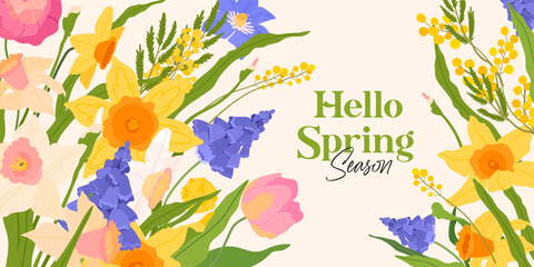 Hand drawn hello spring for print, card, banner. Typography hello spring with tulip, narcissus, Muscari, mimosa flower and leaves on beige background. Botanical floral illustration