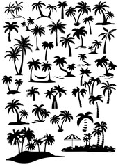 drzew, plik wektorowy, tropikalna, plaza, ilustracja, lato, charakter, ile, sylwetka, słońce, podróż, krajobraz, projekt, palma, niebo, komiks, dłon, morski, kokos, feuille, dłon, urlop, piach, woda,  © Ranger