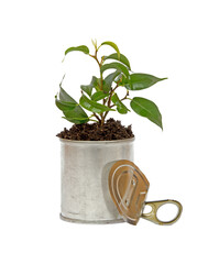 aluminium recycle concept with plant