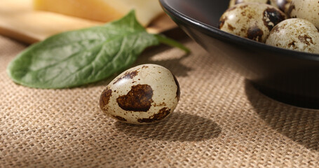 Fototapeta na wymiar quail egg close-up on a burlap next to a plate with eggs. organic food close up. small eggs with brown spots. ingredients for a dish.
