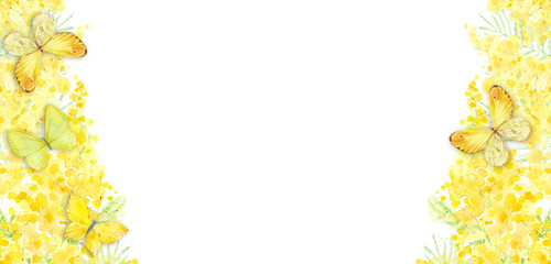 Art floral background. Pre-made design with mimosa, butterflies and place for text.  Watercolor. Layout decorative greeting card or invitation design background.