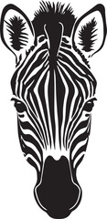 Zebra head, African animal vector illustration