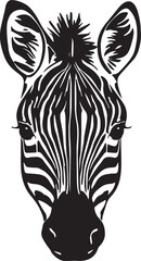 Zebra head, African animal vector illustration