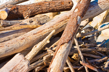 Pile of driftwood piled by the waves of the sea - driftwood background