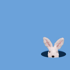 Obraz premium White Toy Rabbit Head Stick Out From The Hole. Easter minimal composition.
