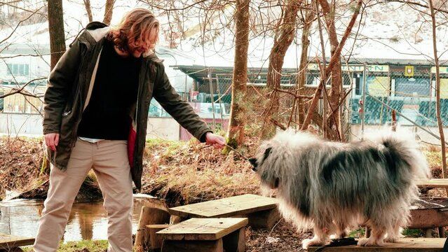 On a small fireplace in a small forest you see a young blond man and his best friend, a gray Wolf Spitz. The are playing with a small stick from a tree. In the backround is an autumnal landscape.