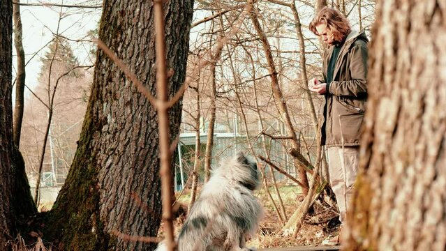 it looks like the young blond man is taking something out of his hand and spreading it on the floor. The gray and unusually fluffy wolf sitting in front of him watches him and hopes for a treat