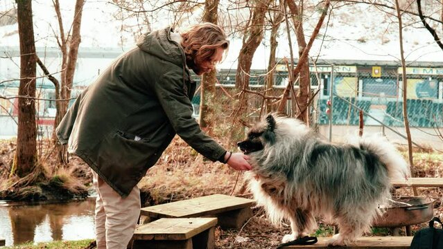 Give paw colleague. The dog claps his hand euphorically, hoping for a small morsel in the hand of his companion. The young blond man shows great teamwork with the gray wolf.