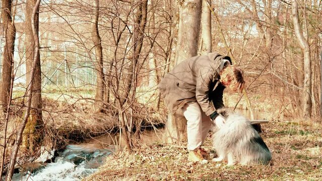 On this video you see a flowing brook, a young blond man with medium length hair petting his dog, a gray wolf spitz, and a few autumnal bare trees in a small forest edge.