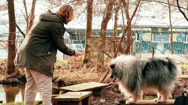 They spend a beautiful afternoon together in a small wood and the man holds out a small stick to the gray wolf. The dog is only briefly happy, then is rather the all around more interesting