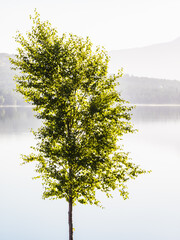 Obraz premium Tranquil Beauty of Nature in Norway