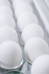 White chicken eggs lie on a shelf in the refrigerator