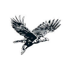 Black and white sketch of an eagle with transparent background
