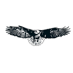 Black and white sketch of an eagle with transparent background